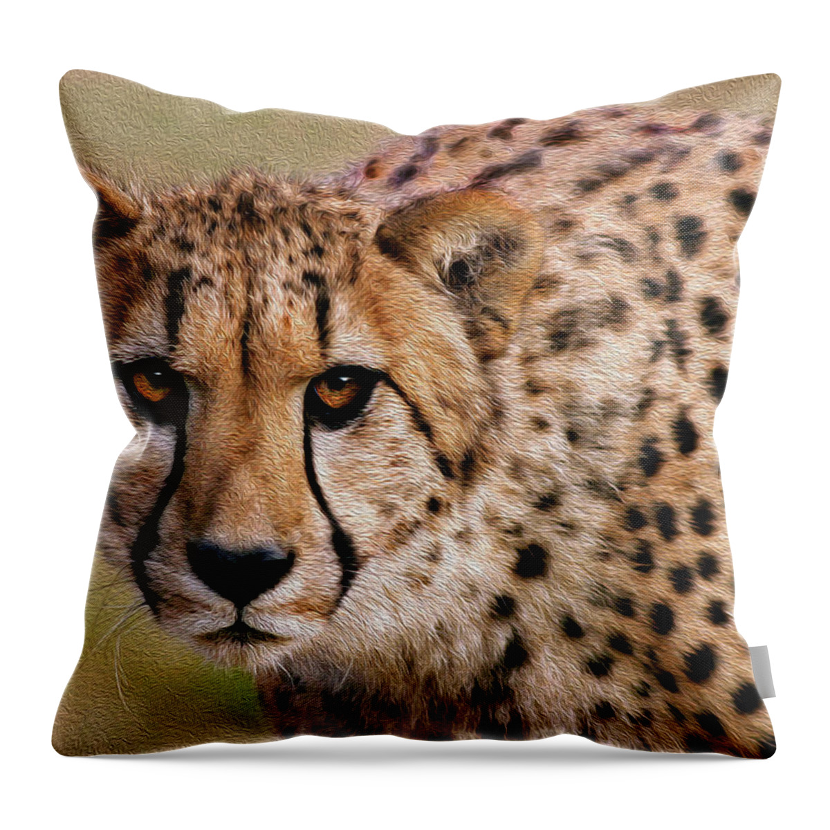Cheetah Throw Pillow featuring the photograph Calculated Look by Art Cole