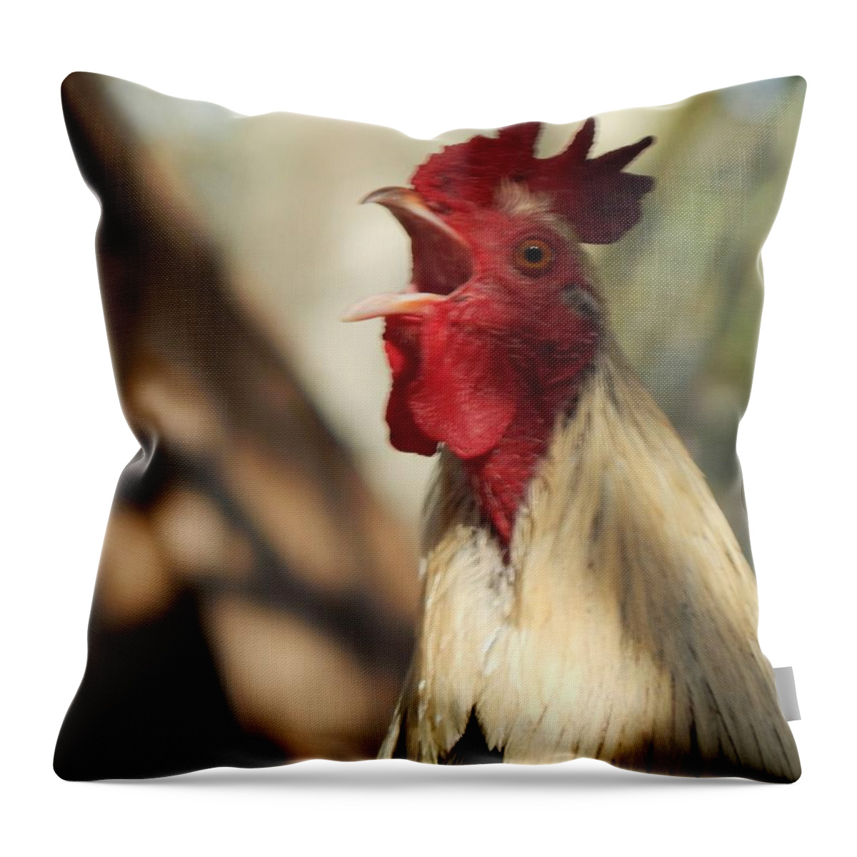 Rooster Chicken Wildlife Animals Birds Alert Warning Signal Habitat Throw Pillow featuring the photograph Call To Attention by Jan Gelders