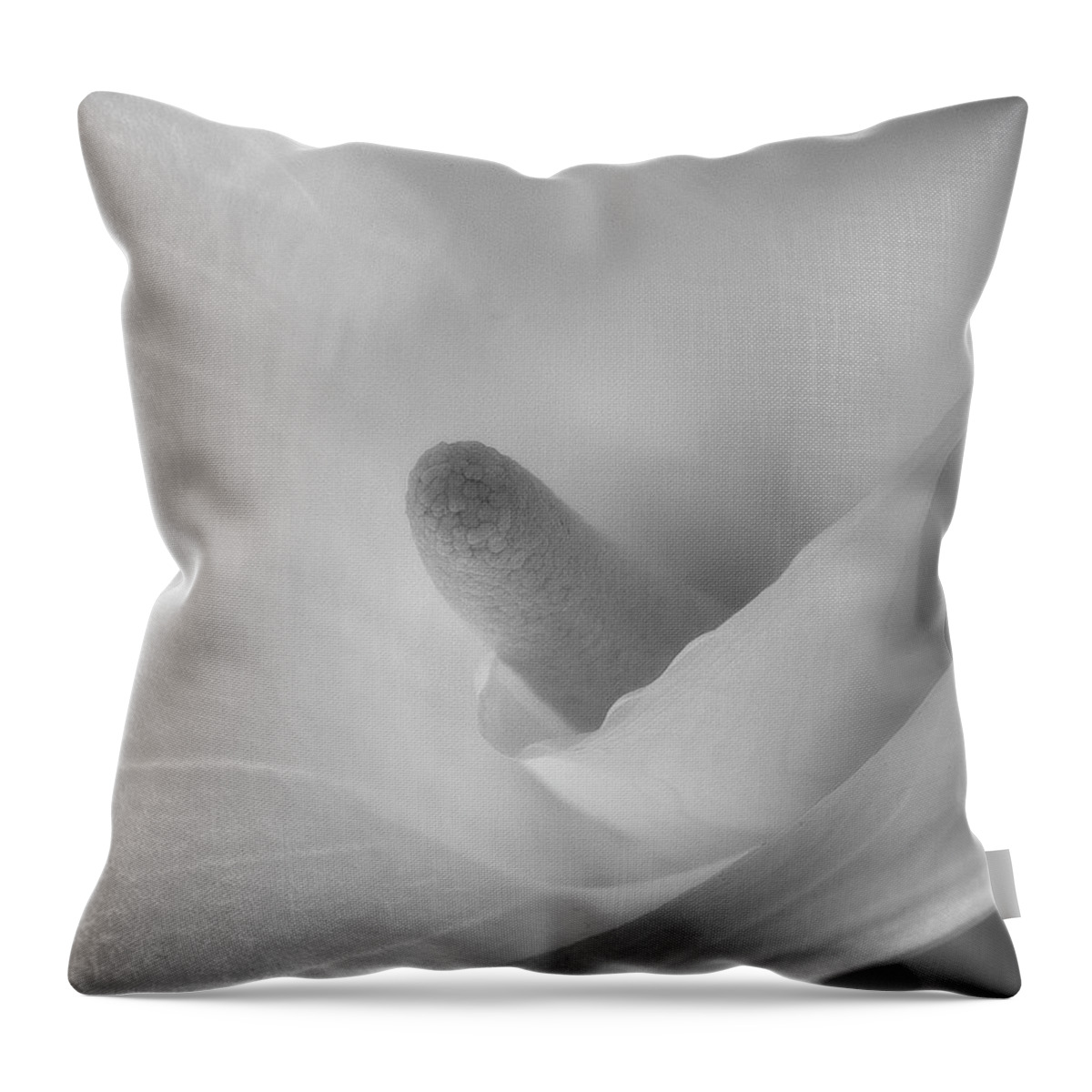 Flower Throw Pillow featuring the photograph Calla Lily by John Roach