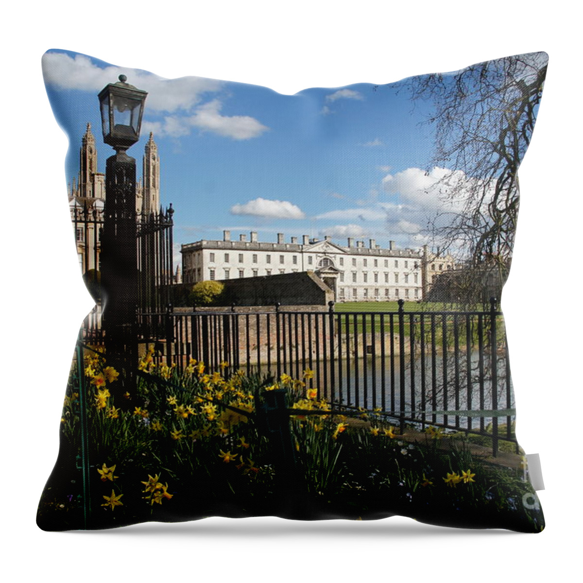 Cambridge Throw Pillow featuring the photograph Cambridge. End of March. by Elena Perelman