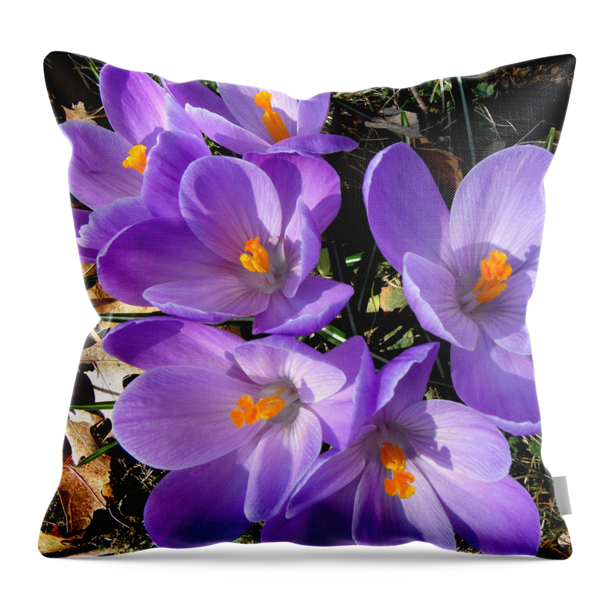 Spring Throw Pillow featuring the photograph Can you say PURPLE by Kim Galluzzo Wozniak