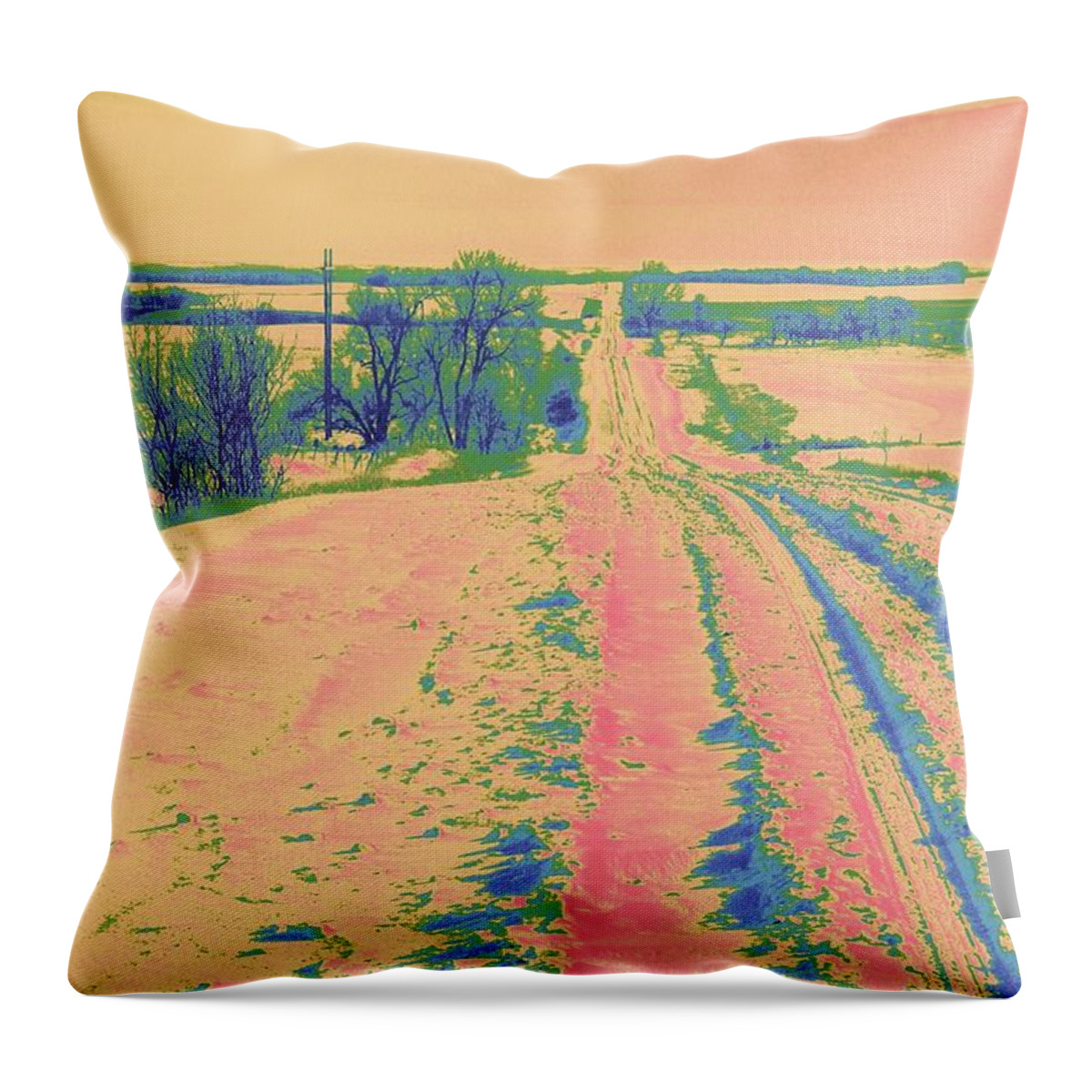 Landscape Throw Pillow featuring the photograph Candy Land by Julie Lueders 