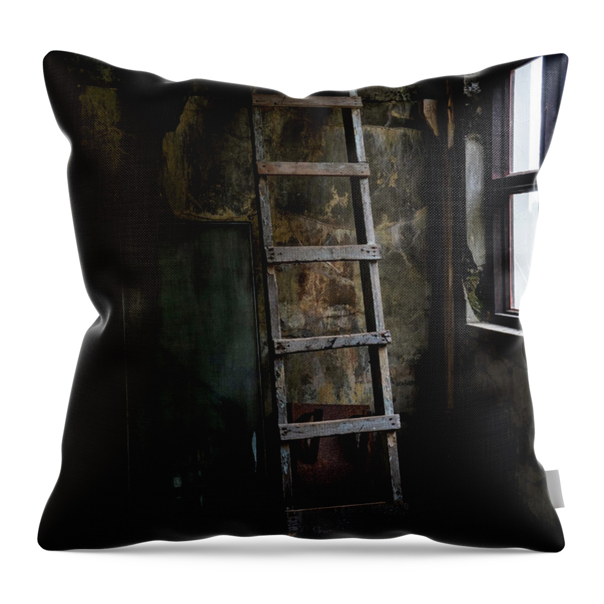 Iceland Throw Pillow featuring the photograph Cannery Ladder by Tom Singleton