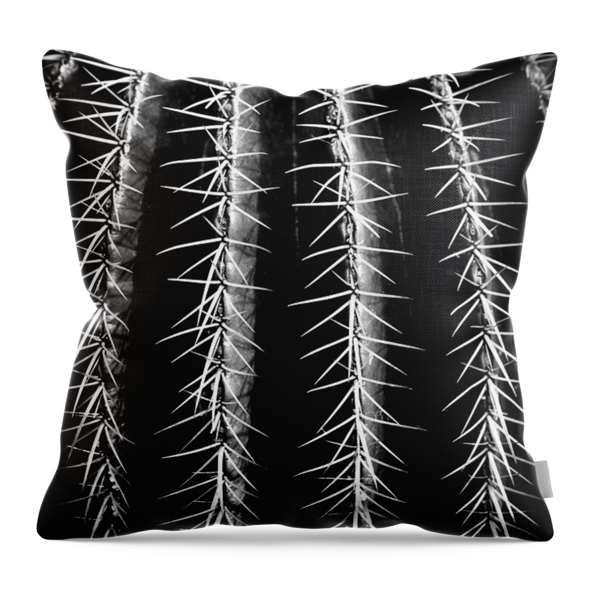 Cactus Throw Pillow featuring the photograph Can't Touch This by Dorit Fuhg