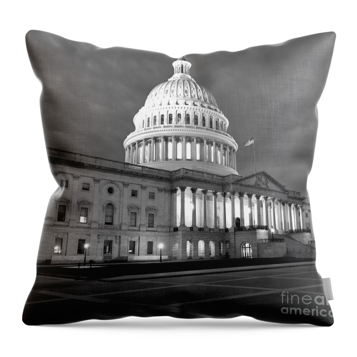Capital Throw Pillow featuring the photograph Capital by Dennis Richardson