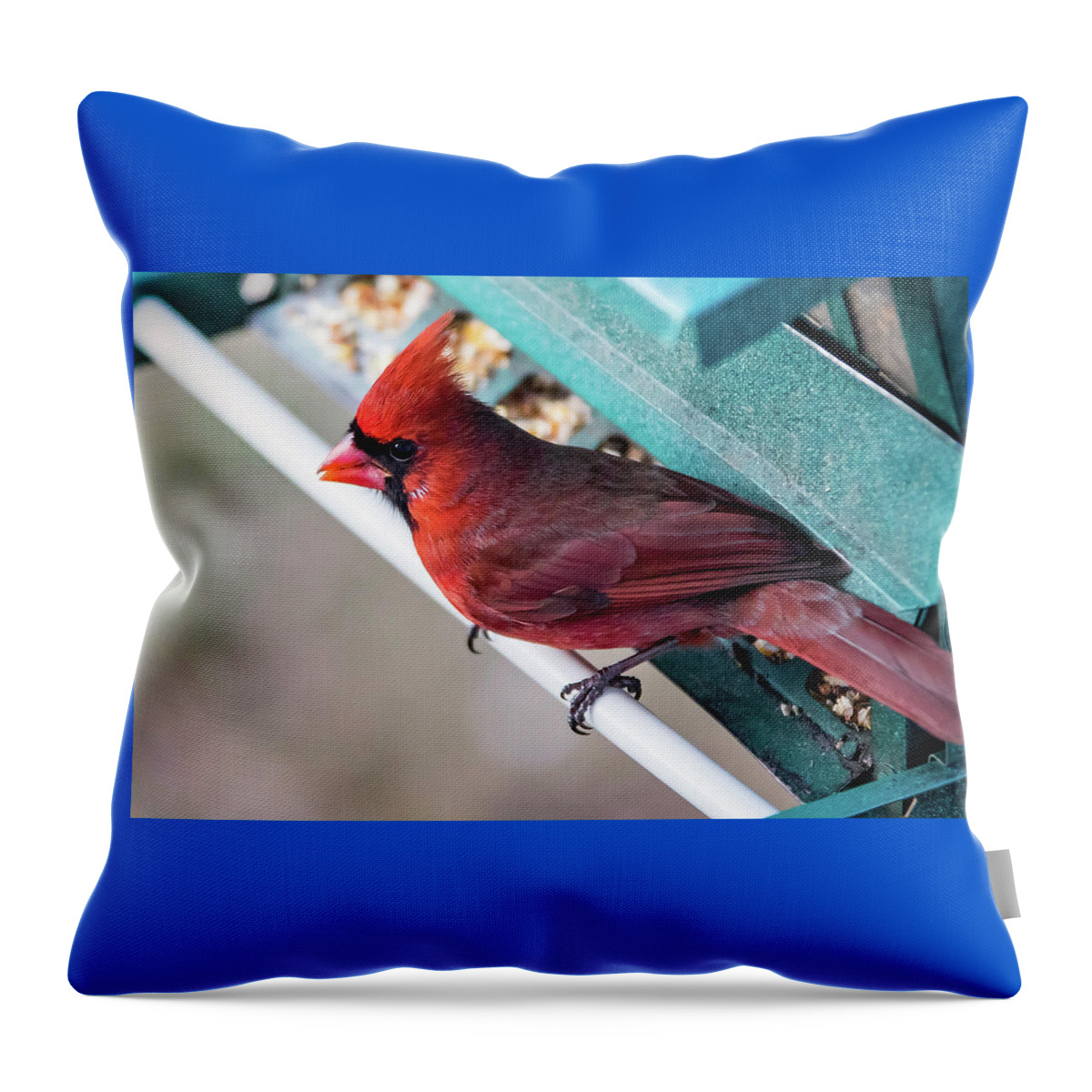 Bird Throw Pillow featuring the photograph Cardinal Close Up by Darryl Hendricks