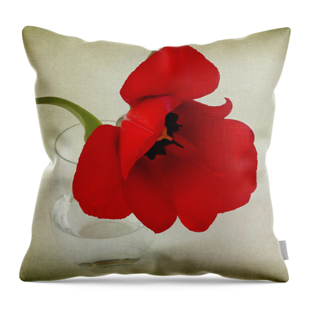 Red Tulip Throw Pillow featuring the photograph Carmen by Marina Kojukhova