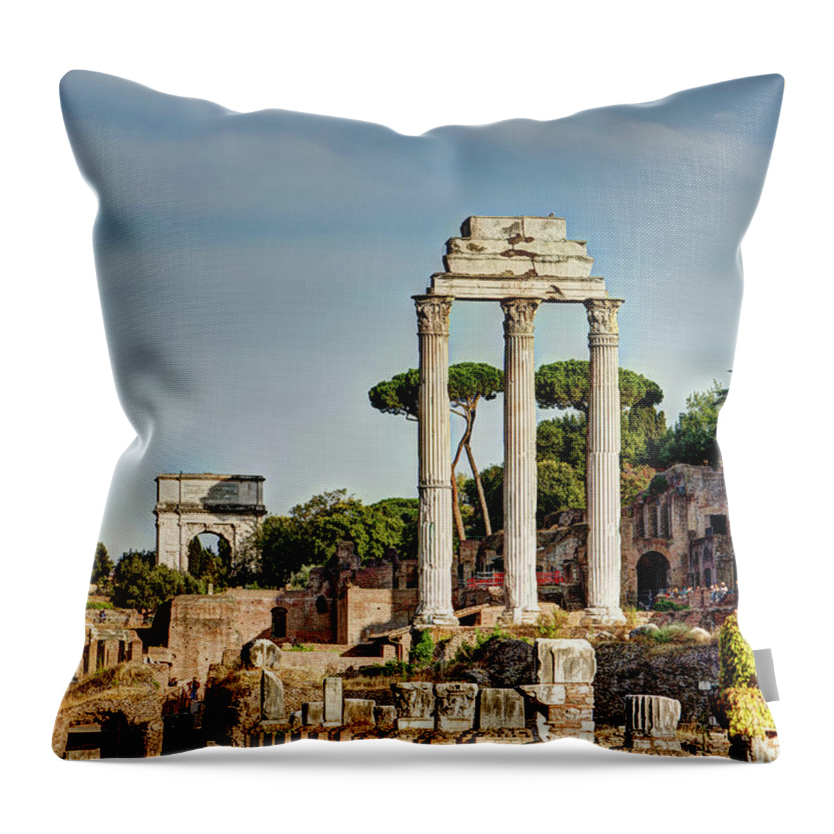 Forum Throw Pillow featuring the photograph Castor Pollux and Titus by Weston Westmoreland