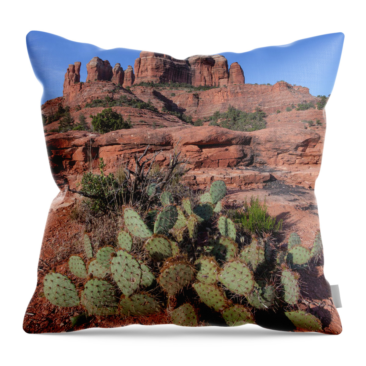 Cathedral Rock Throw Pillow featuring the photograph Cathedral Rock Cactus Grove by Lon Dittrick