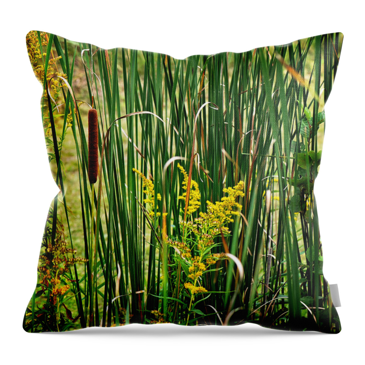 Cattails On The Pond Print Throw Pillow featuring the photograph Cattails on the Pond Print by Gwen Gibson