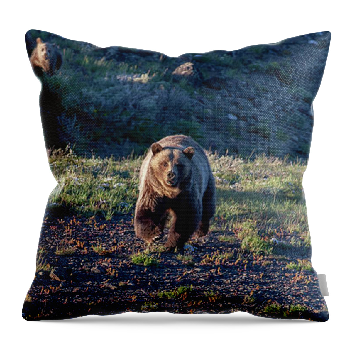 Grizzly Bear Throw Pillow featuring the photograph Charging Grizzly by Mark Miller
