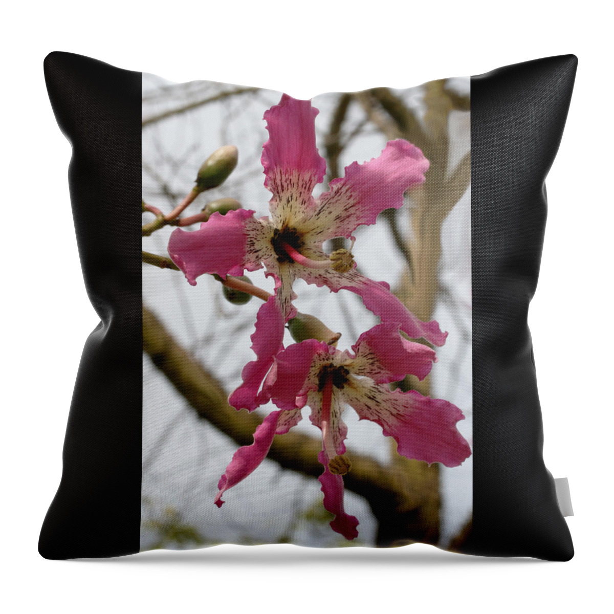 Charming Throw Pillow featuring the photograph Charming Desert Blooms by Tammy Pool