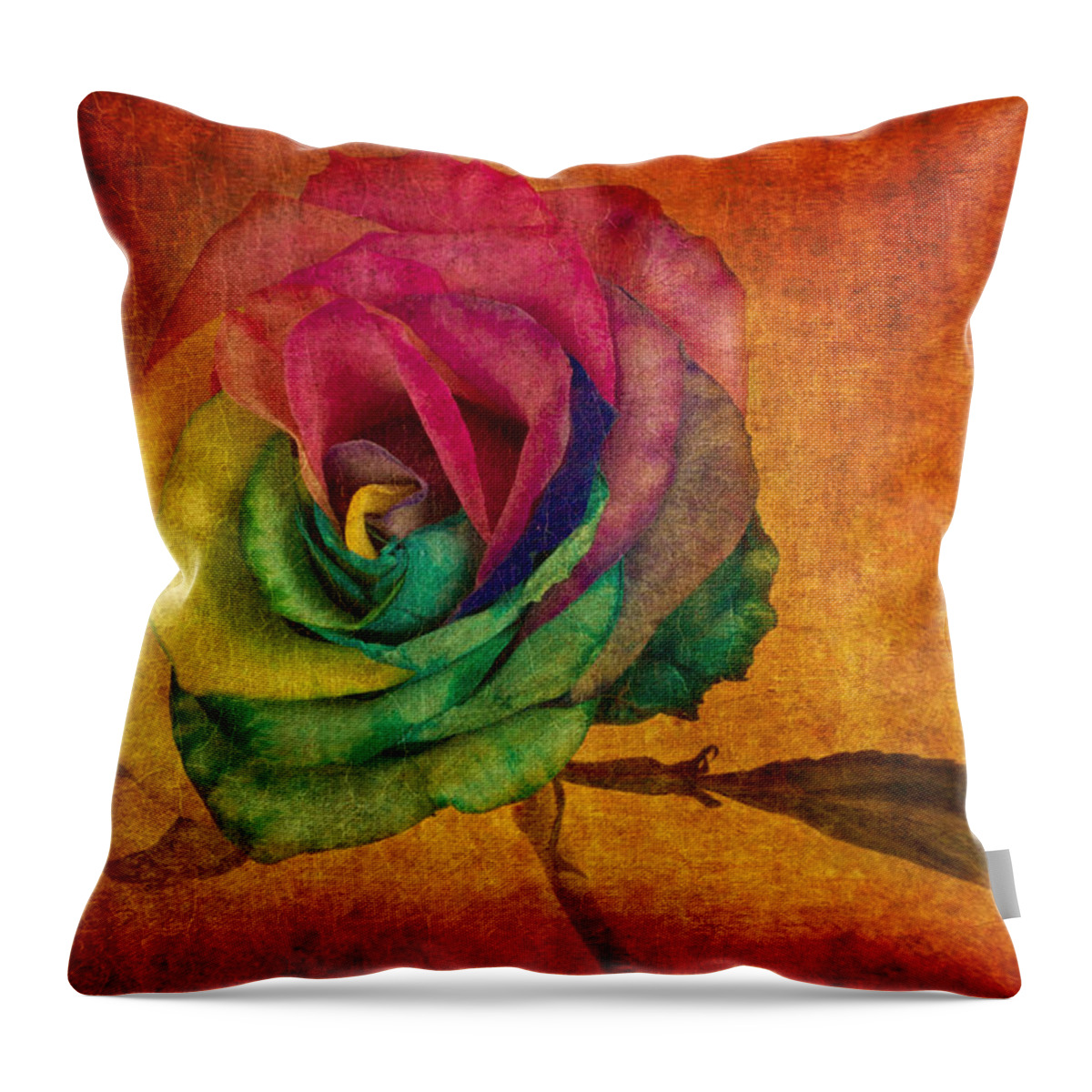 Rainbow Rose Throw Pillow featuring the photograph Chasing Rainbows by Marina Kojukhova