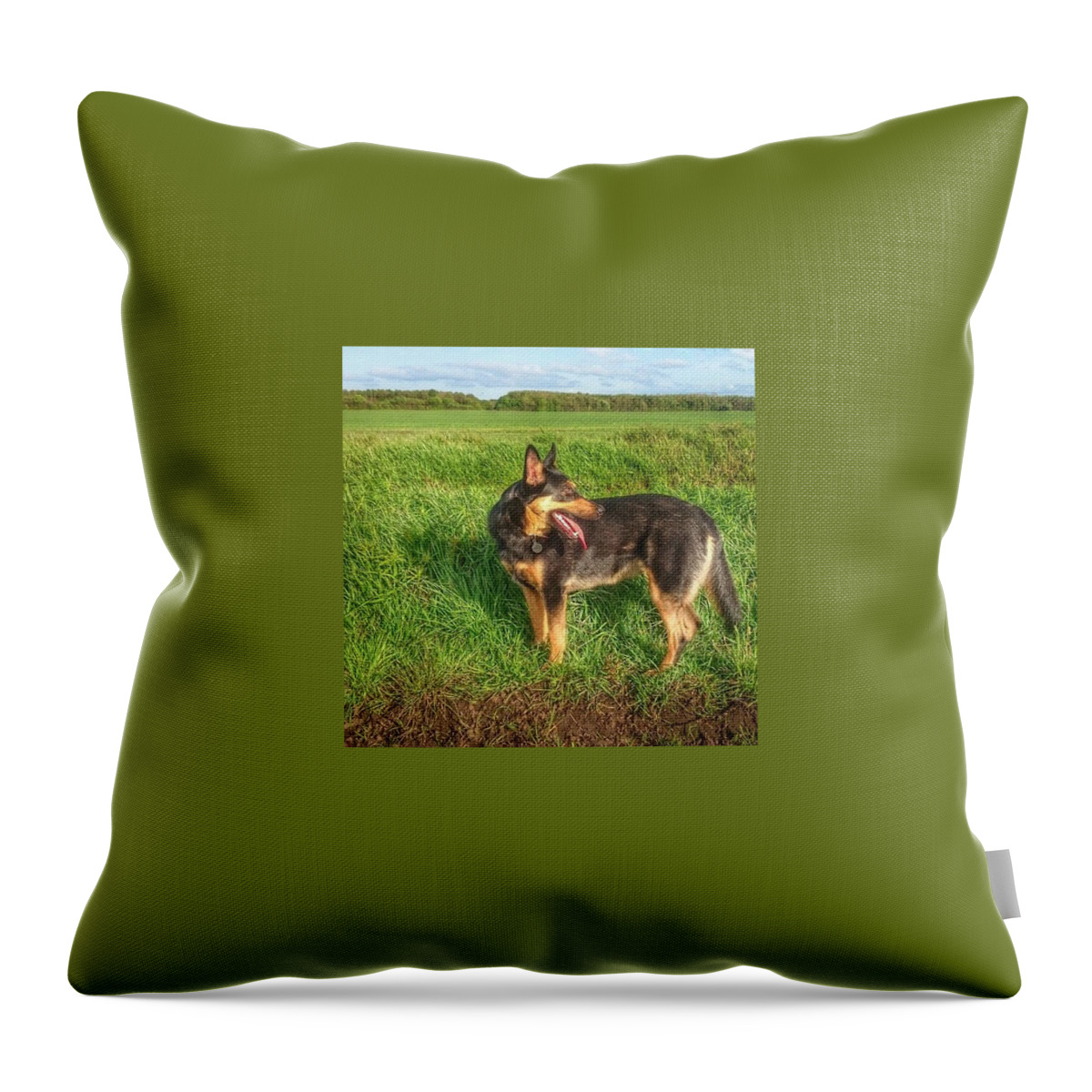 Petstagram Throw Pillow featuring the photograph Checking Where We've Been. #dogs #gsd by Abbie Shores