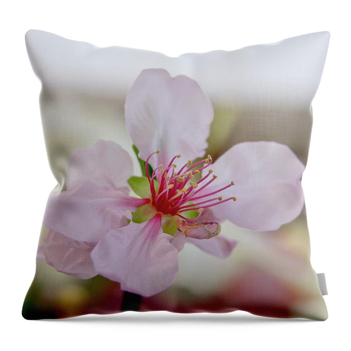 Cherry Throw Pillow featuring the photograph Cherry Blossom I by Elena Perelman