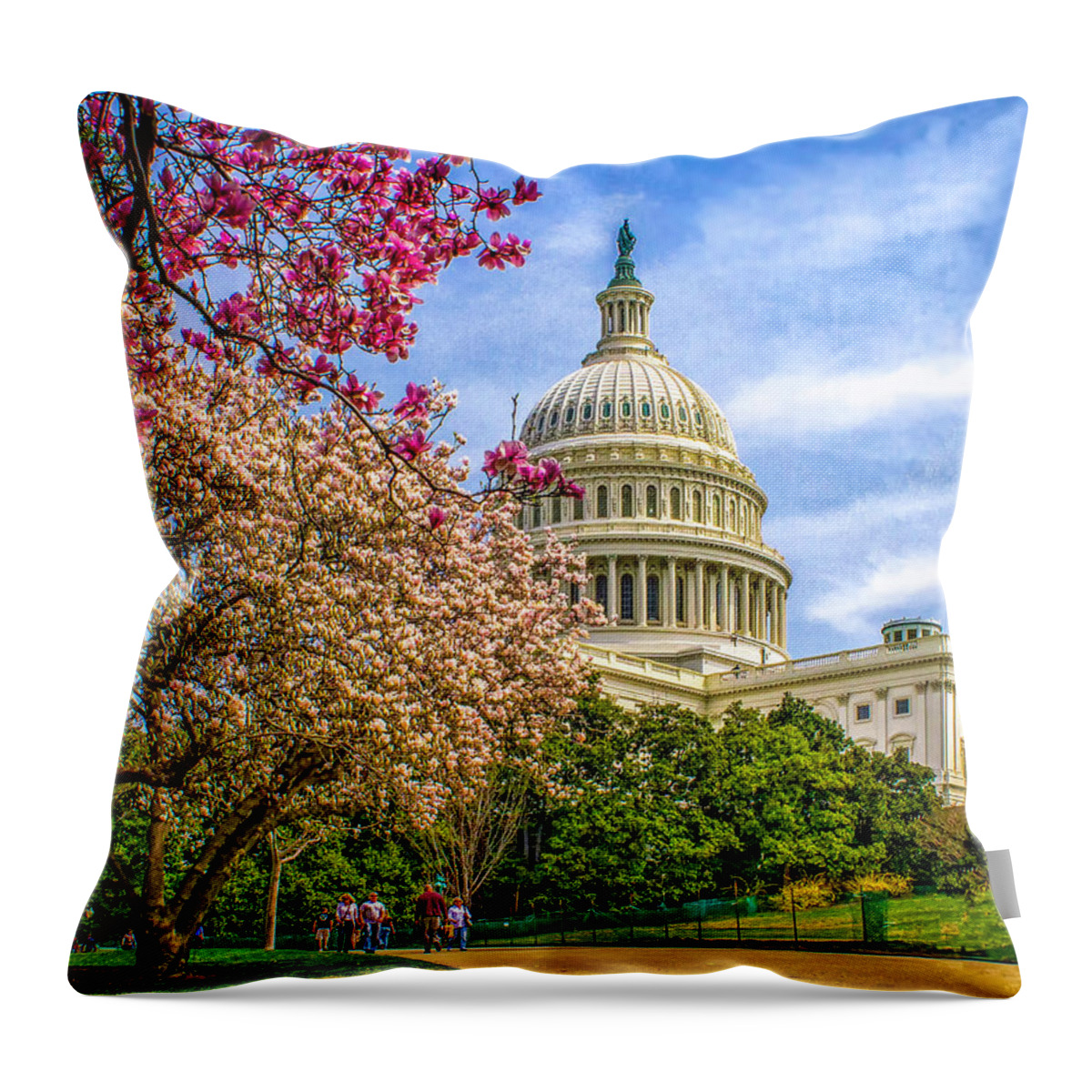 Cherry Throw Pillow featuring the photograph Cherry Blossoms at the Capitol by Nick Zelinsky Jr