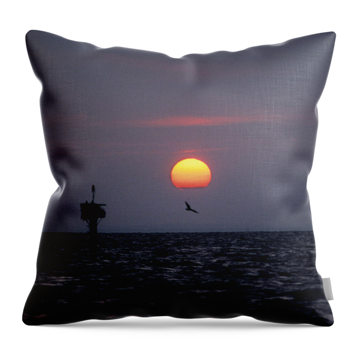 Sea Throw Pillow featuring the photograph Chesapeake Bay Osprey 14O by Gerry Gantt