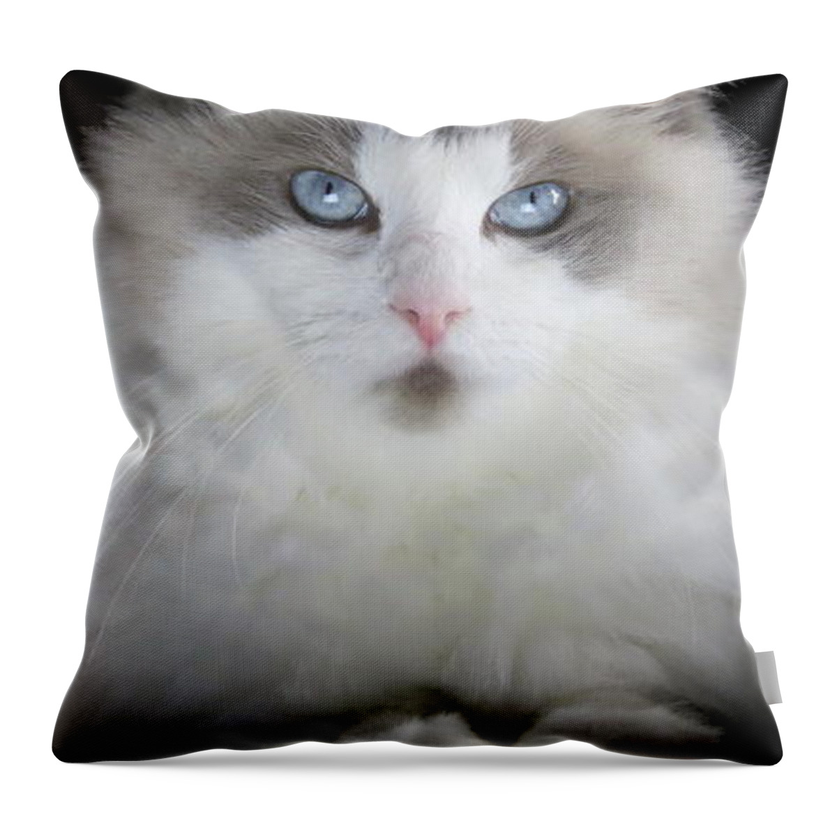 Cat Throw Pillow featuring the digital art Chewie by Kathleen Illes