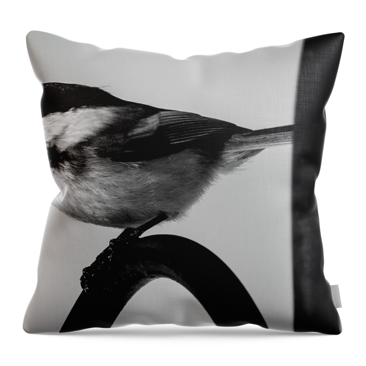 Bird Throw Pillow featuring the photograph Chickadee by Darryl Hendricks
