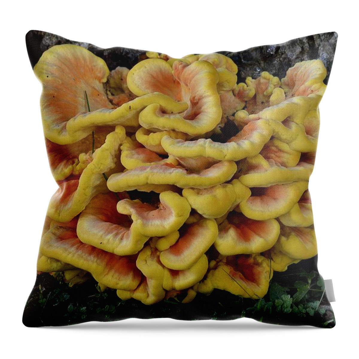 High Virginia Images Throw Pillow featuring the photograph Chicken of the Woods by Randy Bodkins