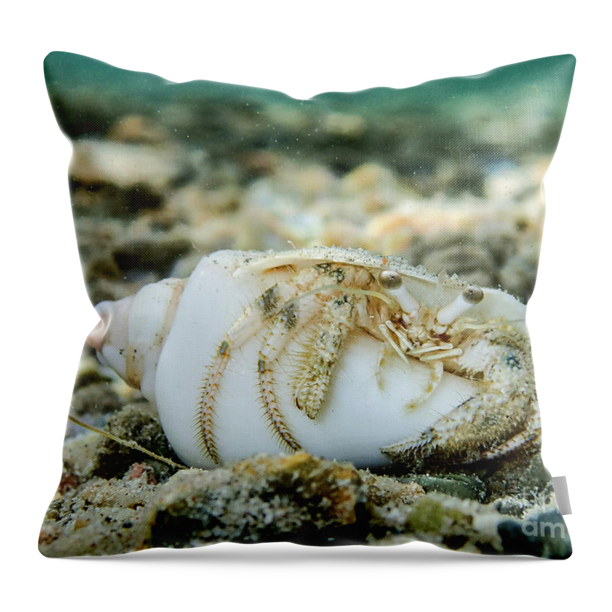 Animal Throw Pillow featuring the photograph Chilling by Hannes Cmarits