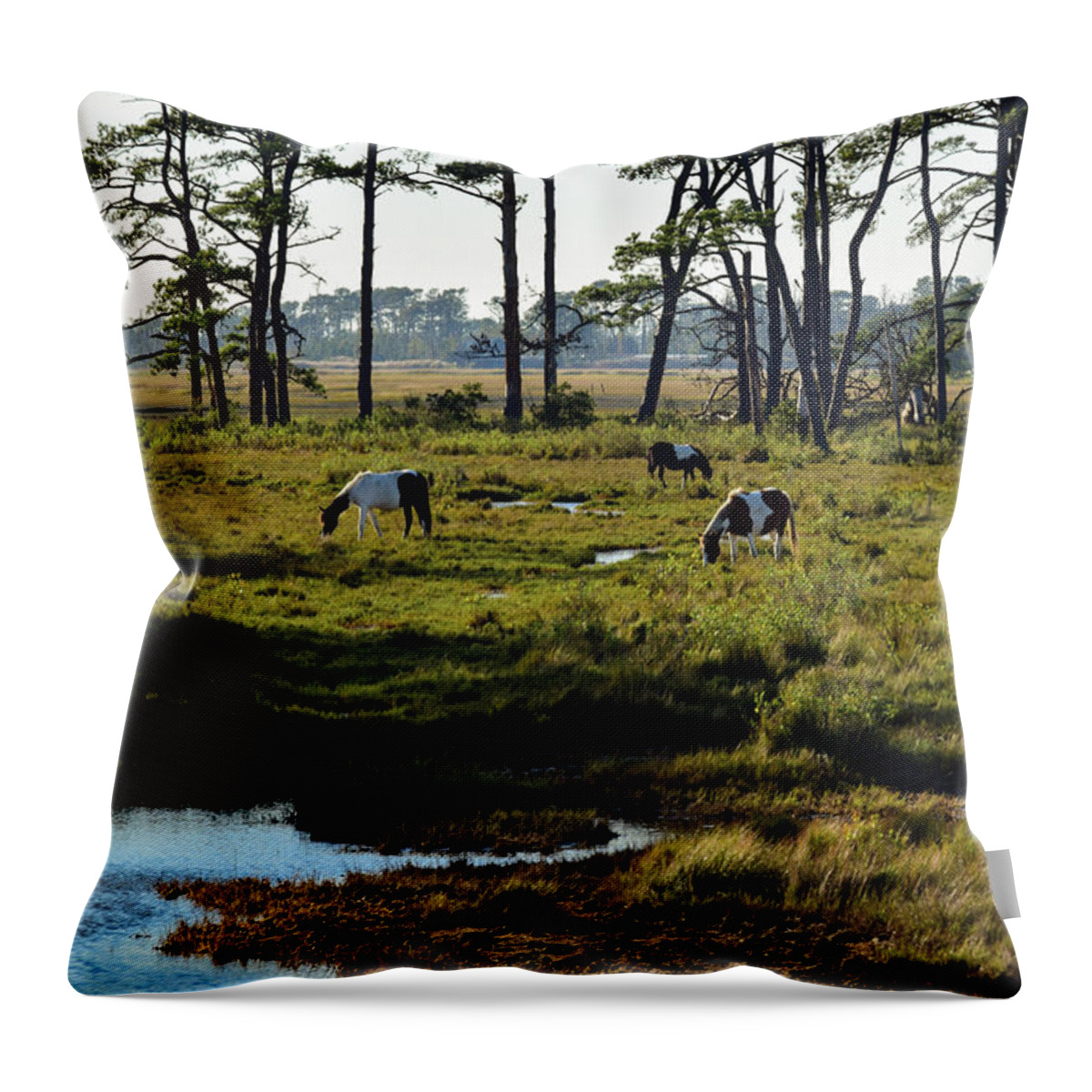 Chincoteague Throw Pillow featuring the photograph Chincoteague Ponies by Nicole Lloyd