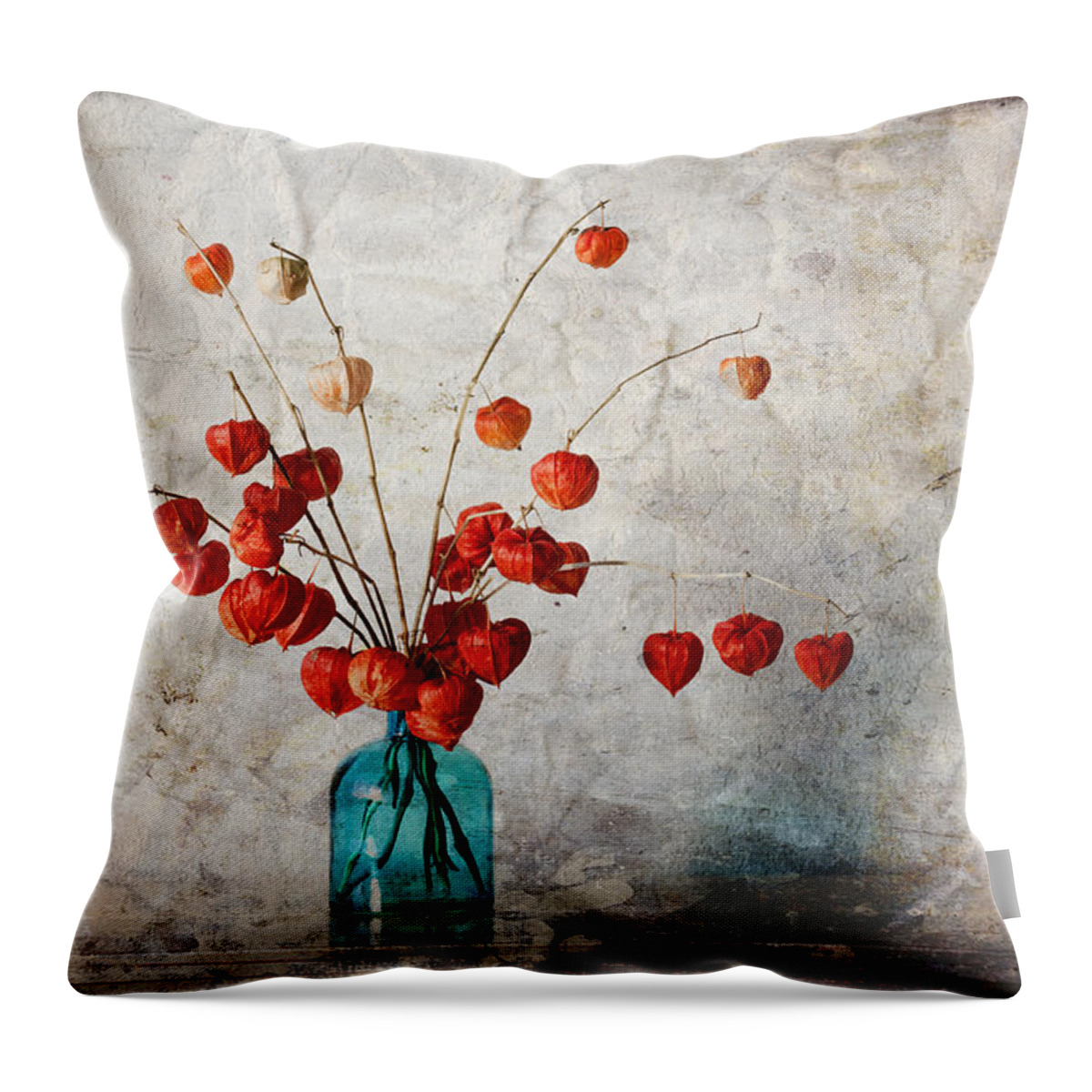 Chinese Throw Pillow featuring the photograph Chinese Lanterns by Carol Leigh