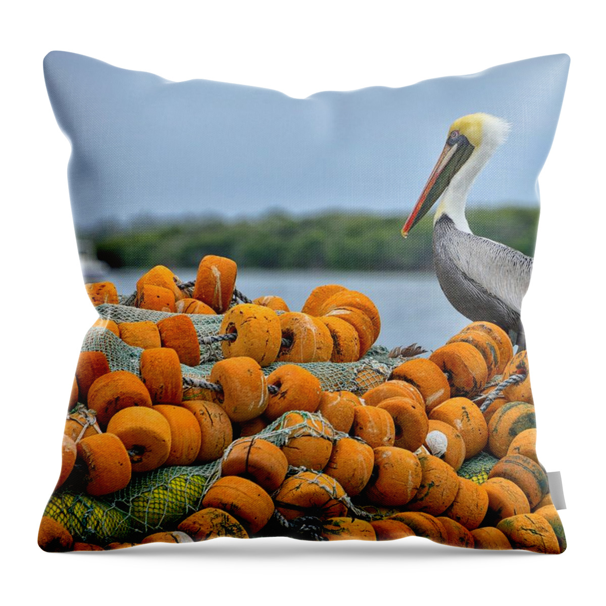 Landscape Throw Pillow featuring the photograph Choices by Alison Belsan Horton