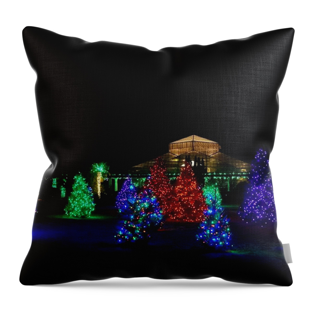  Throw Pillow featuring the photograph Christmas Garden 7 by Rodney Lee Williams