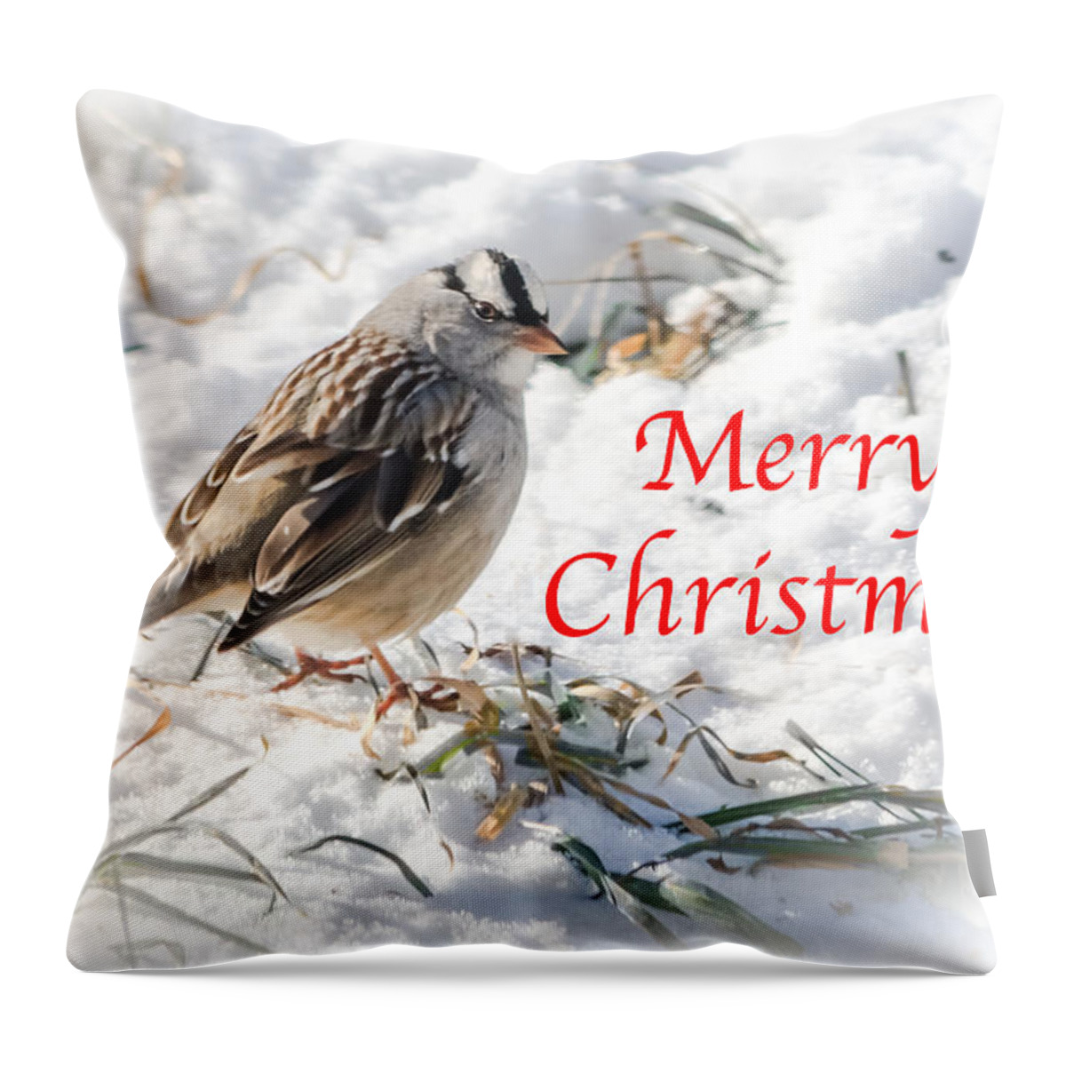 White-crowned Sparrow Throw Pillow featuring the photograph Christmas Sparrow by Holden The Moment
