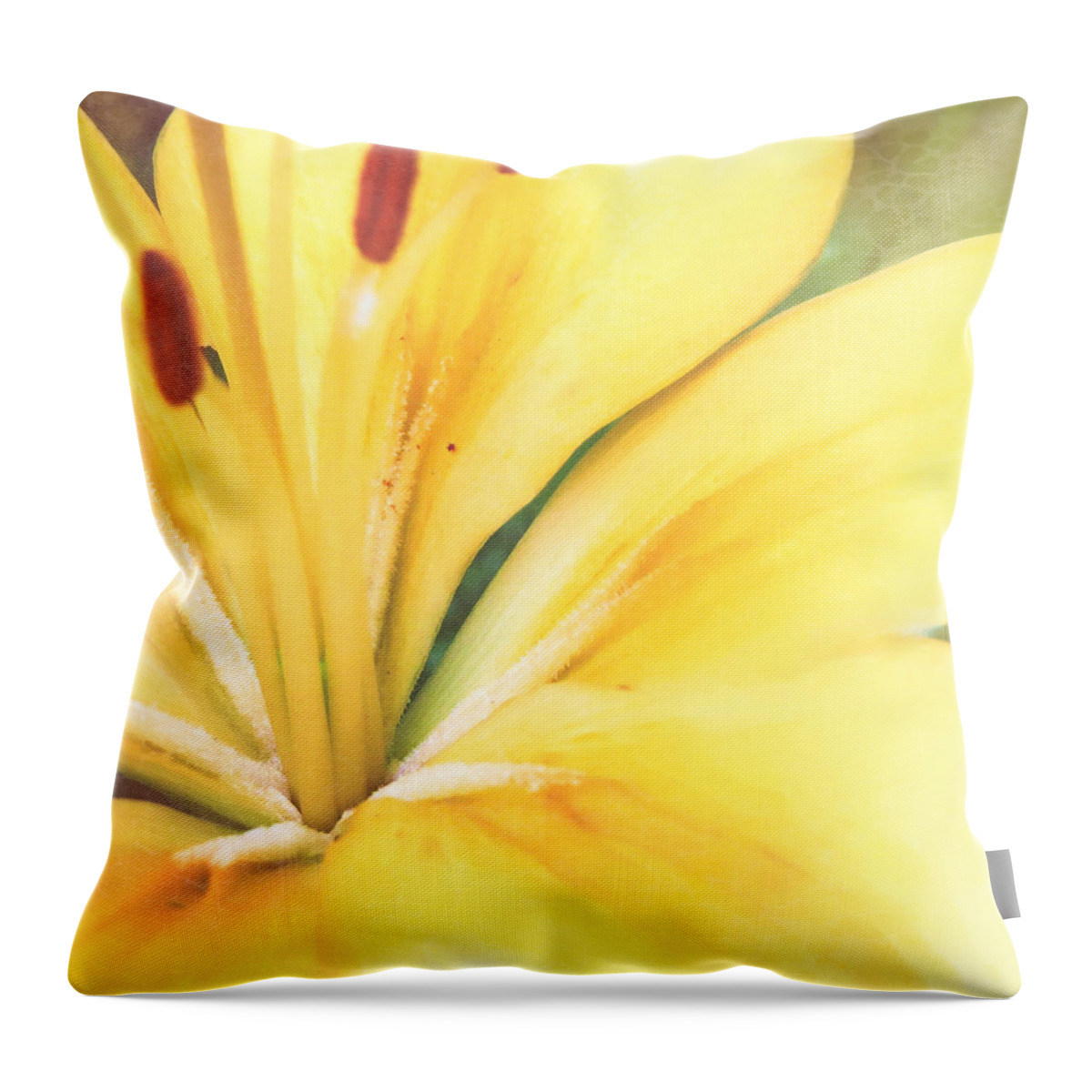 Blossom Throw Pillow featuring the photograph Citrine Blossom by Sand And Chi