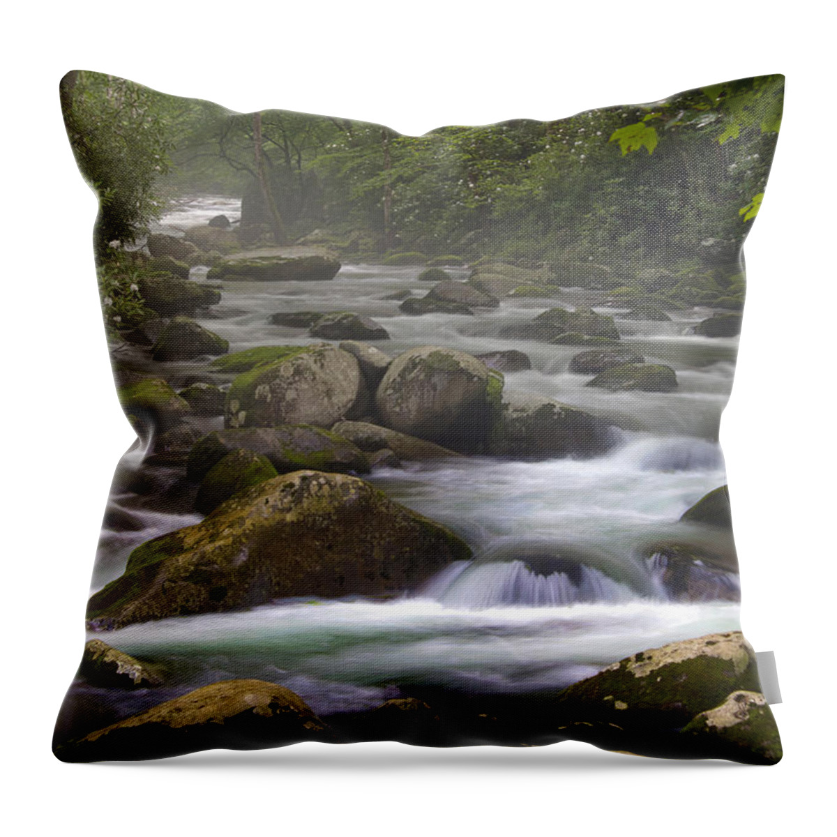 Nunweiler Throw Pillow featuring the photograph Big Creek Trail by Nunweiler Photography