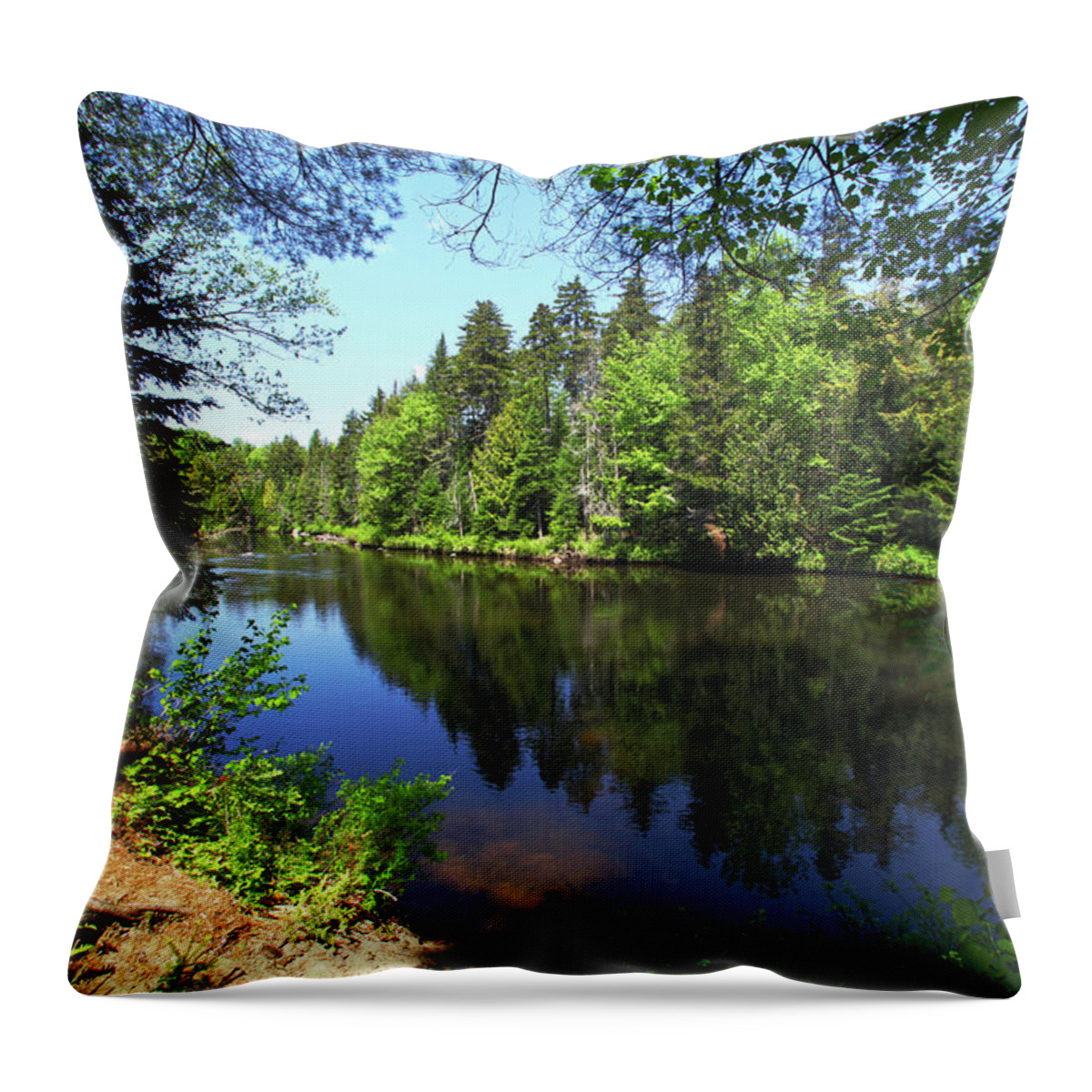  Throw Pillow featuring the photograph Clear Lake by Robert Och