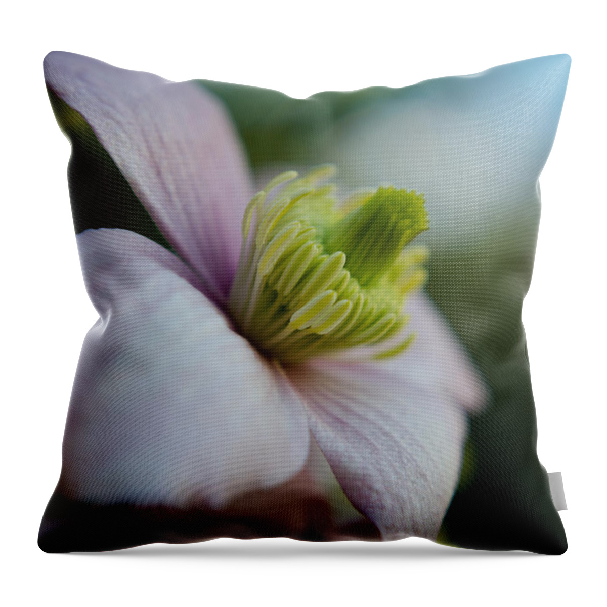 Flower Throw Pillow featuring the photograph Clematis flower face of Spring by Spikey Mouse Photography