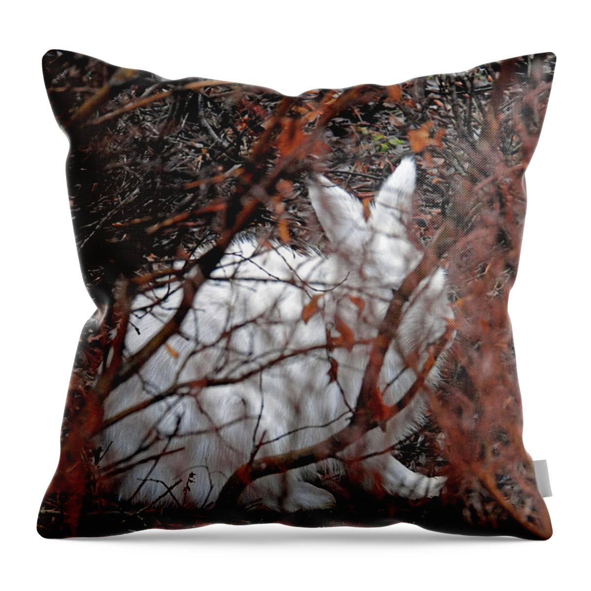 Climate-change Throw Pillow featuring the photograph Climate-Change-Hindered Hiding Hare by Ted Keller
