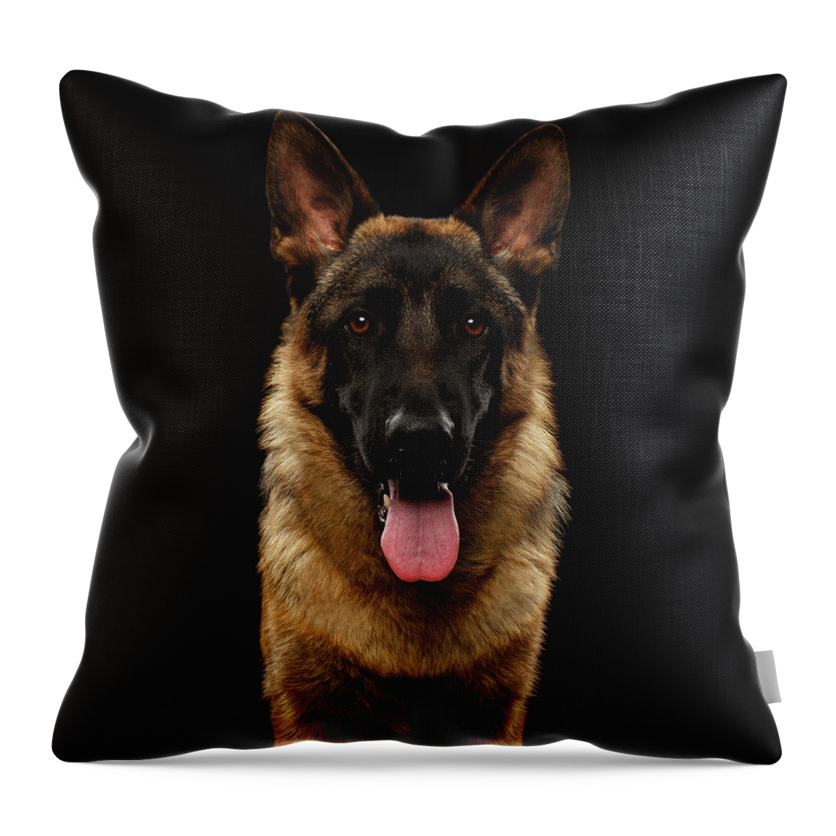 Dog Throw Pillow featuring the photograph Closeup Portrait of German Shepherd on Black by Sergey Taran