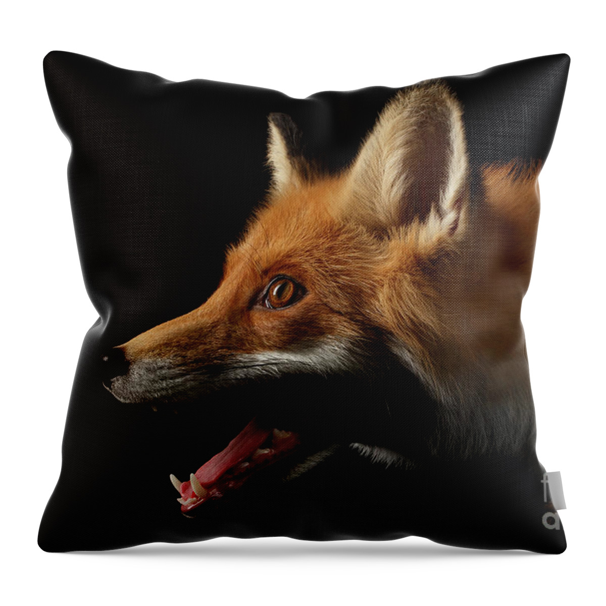 Fox Throw Pillow featuring the photograph Red Fox in Profile by Sergey Taran