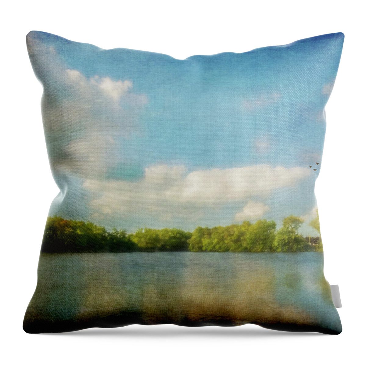 Clouds Throw Pillow featuring the photograph Clouds Over The Lake by Cathy Kovarik