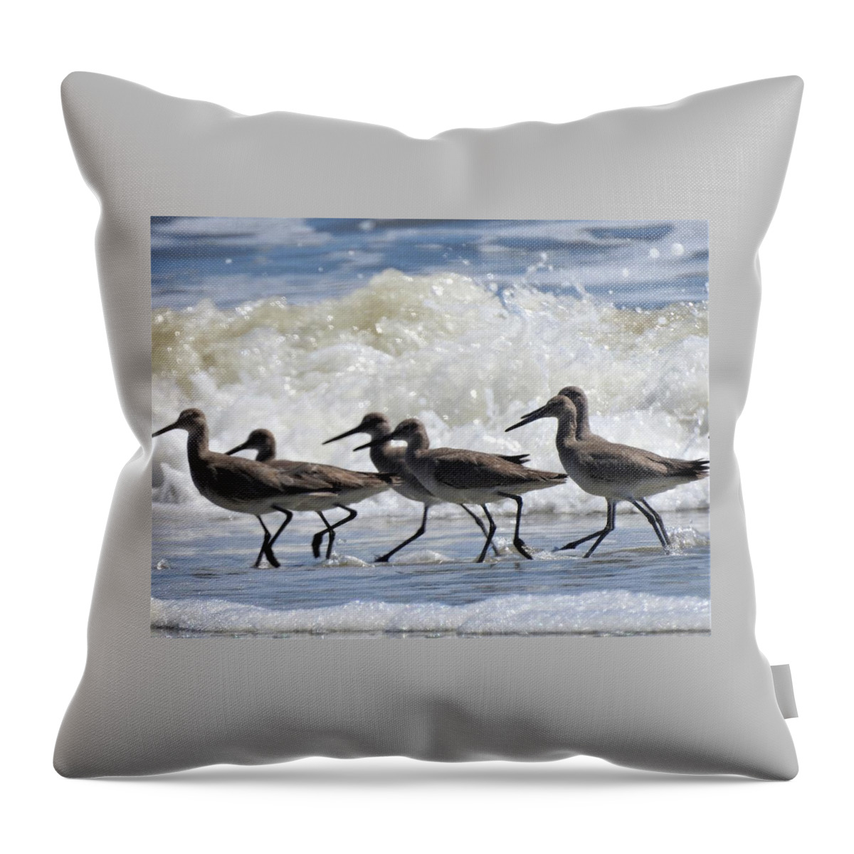 Coastal Throw Pillow featuring the photograph Coastal Togetherness by Jan Gelders