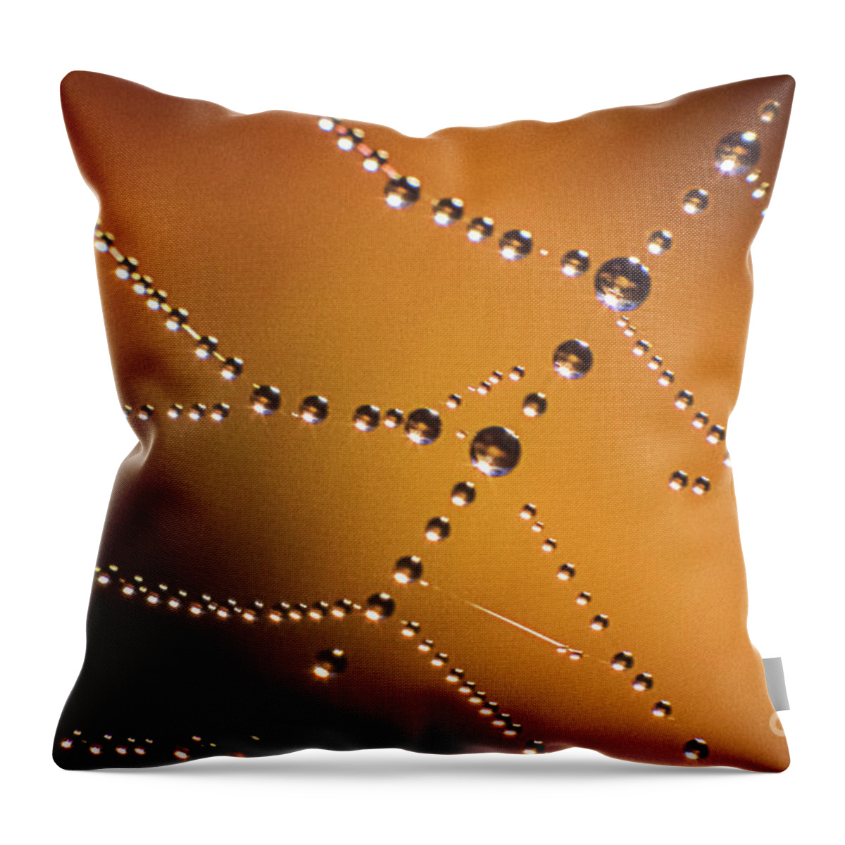 Dew Throw Pillow featuring the photograph Cobweb with Dew Drops by Heiko Koehrer-Wagner