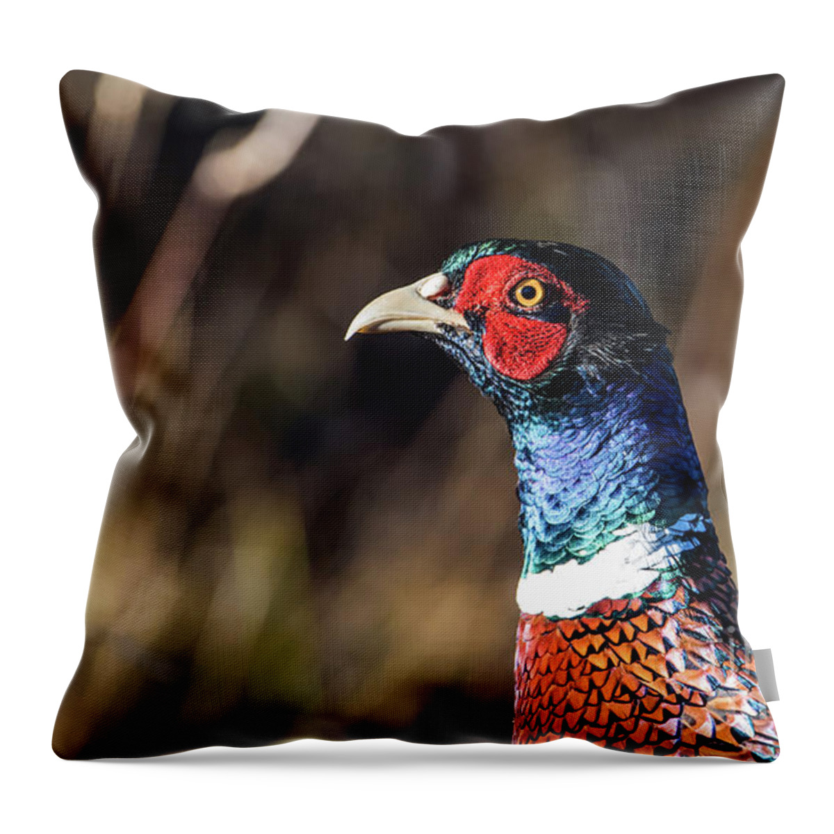 Portrait Cock Pheasant Throw Pillow featuring the photograph Cock Pheasant in Fall by Torbjorn Swenelius