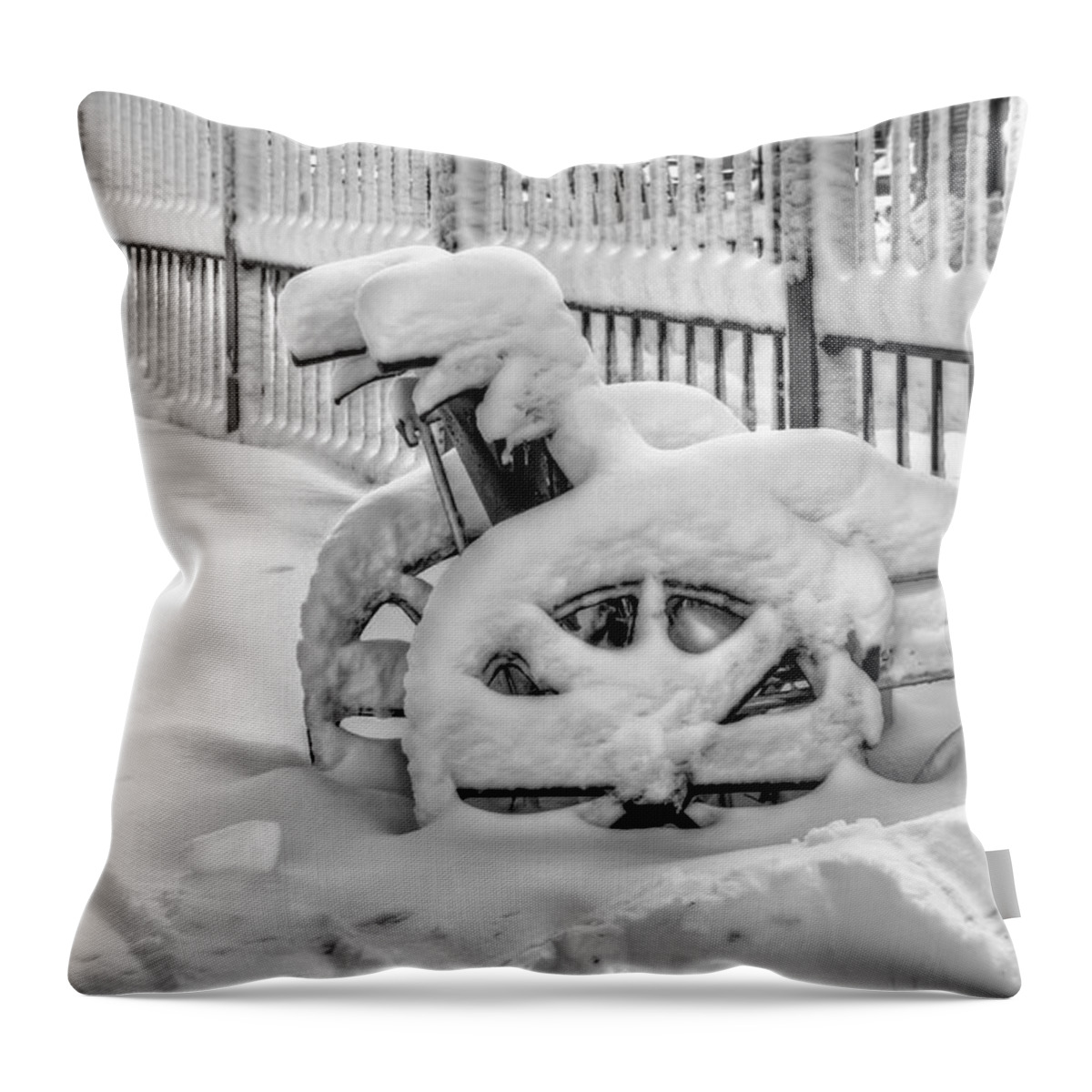 Snow Throw Pillow featuring the photograph Cold Disposition by Evelina Kremsdorf