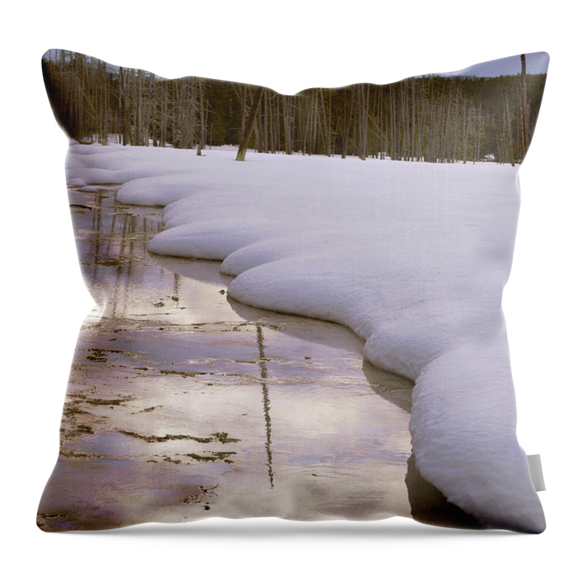 Winter Throw Pillow featuring the photograph Cold Reflections by Kae Cheatham