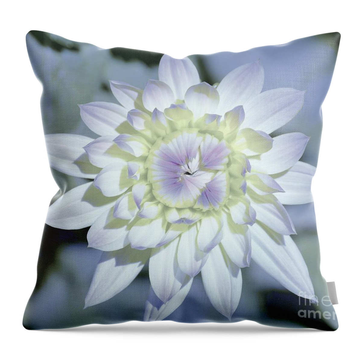 Flowers Throw Pillow featuring the photograph Color Me by Merle Grenz