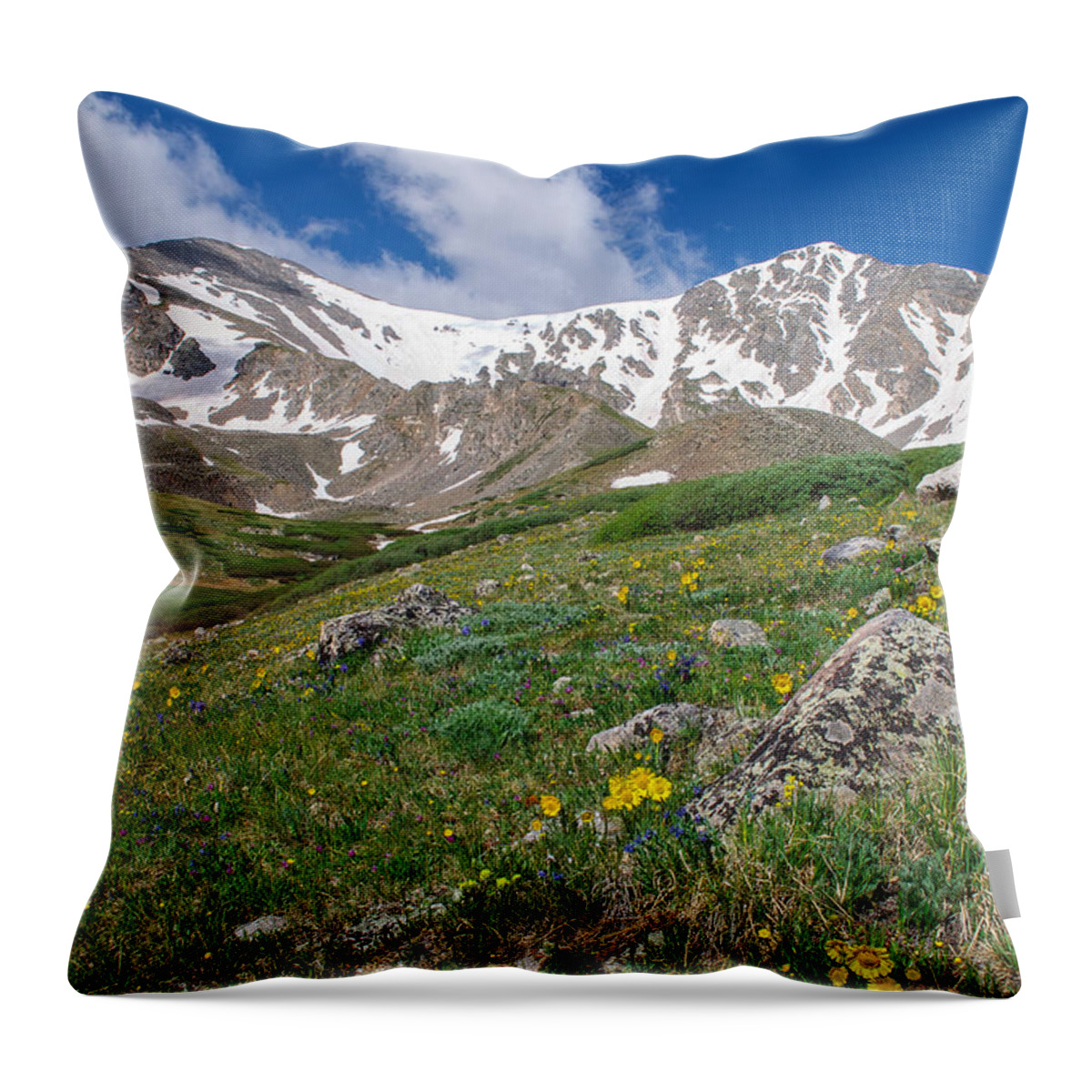 Colorado Throw Pillow featuring the photograph Colorado 14ers Grays Peak and Torreys Peak by Aaron Spong