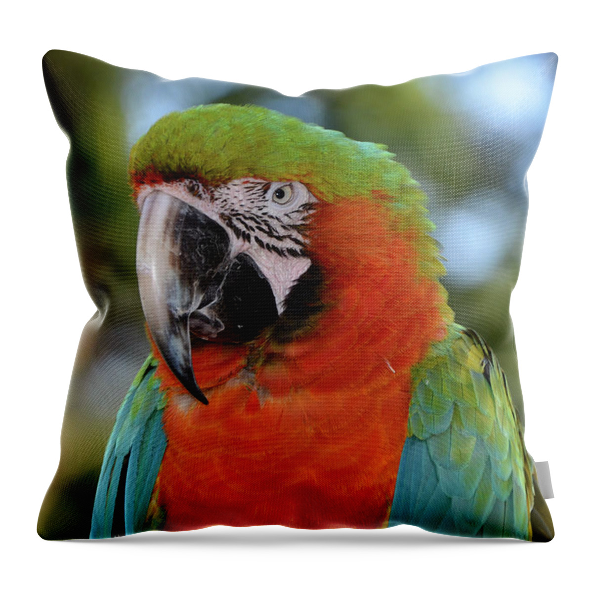 Macaw Throw Pillow featuring the photograph Colorful Macaw Looking Left by Artful Imagery
