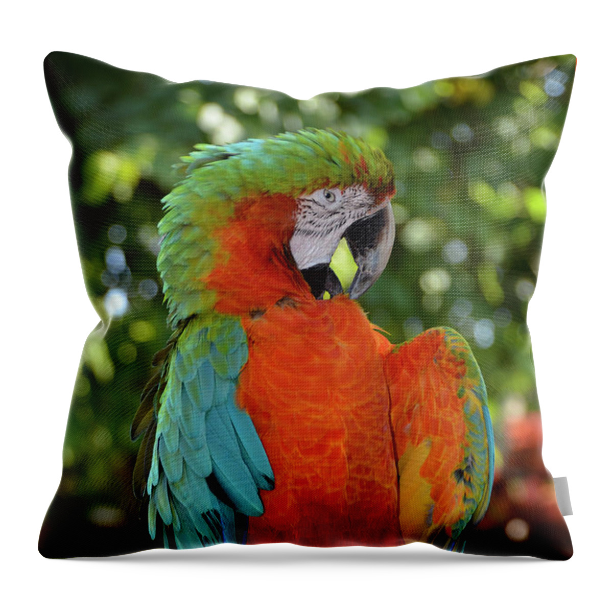 Macaw Throw Pillow featuring the photograph Colorful Macaw with Wings Spread by Artful Imagery