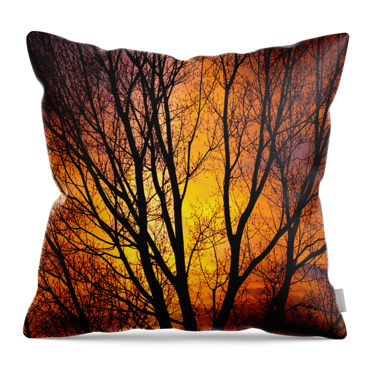 Vertical Throw Pillow featuring the photograph Colorful Tree Silhouettes by James BO Insogna