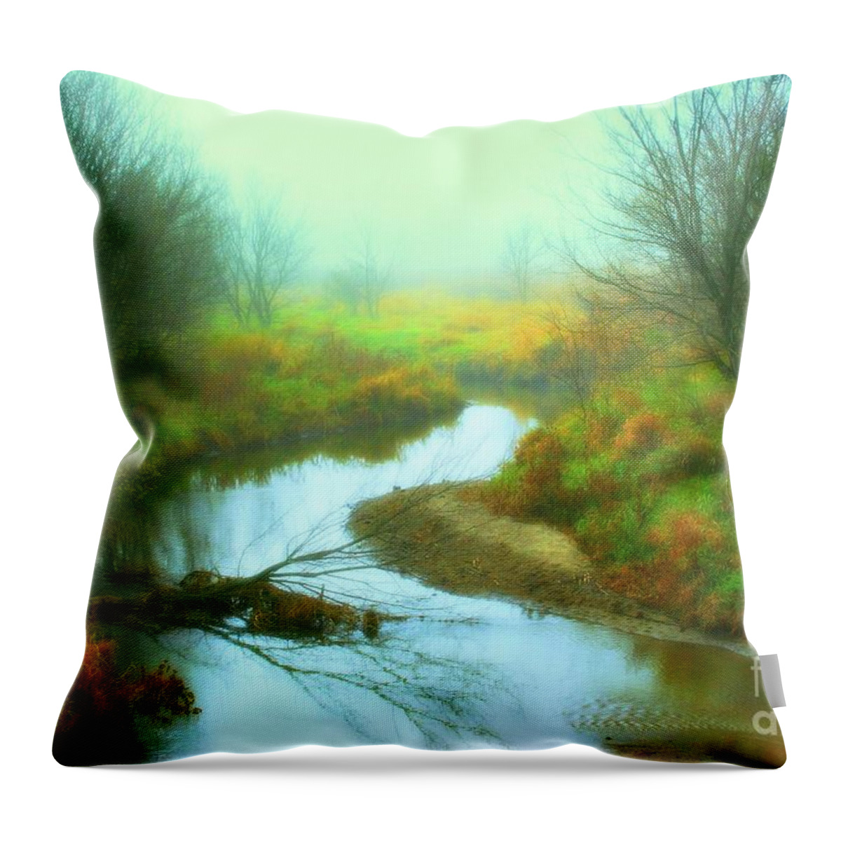 River Throw Pillow featuring the photograph Colors of Fall by Julie Lueders 