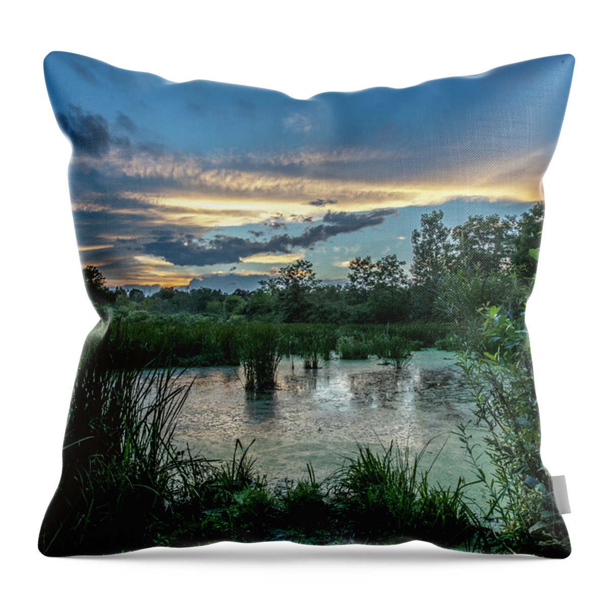 Marsh Throw Pillow featuring the photograph Columbia Marsh Sunset by Lon Dittrick